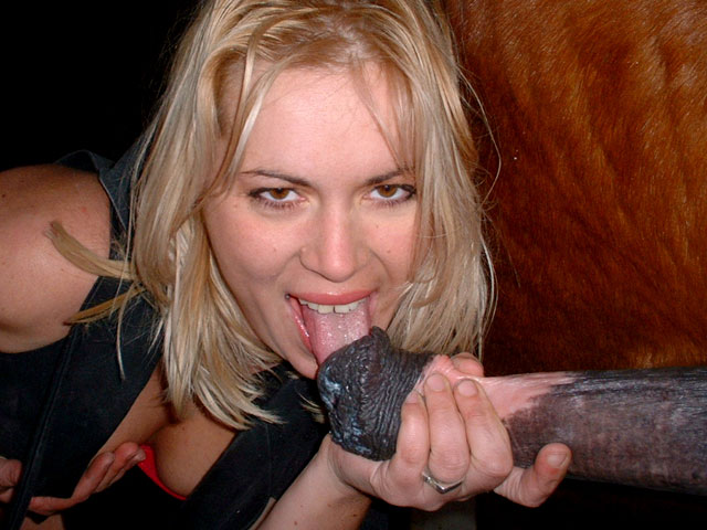 Woman blows horse - 🧡 Секс девушек с конями (24 фото) - смотреть порно - D...